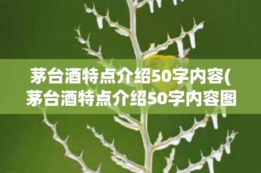 茅台酒特点介绍50字内容(茅台酒特点介绍50字内容图片)