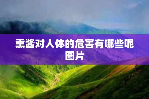 熏酱对人体的危害有哪些呢图片