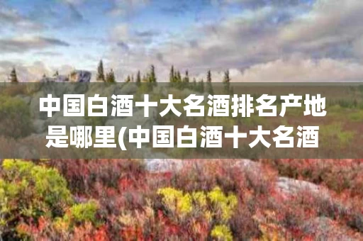 中国白酒十大名酒排名产地是哪里(中国白酒十大名酒排名产地是哪里的)