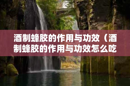 酒制蜂胶的作用与功效（酒制蜂胶的作用与功效怎么吃）