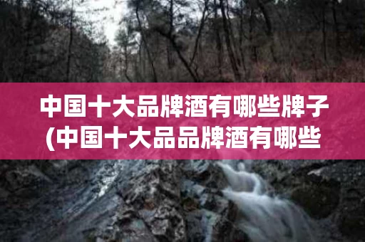 中国十大品牌酒有哪些牌子(中国十大品品牌酒有哪些)