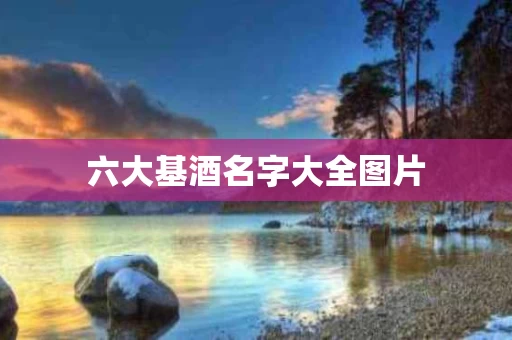 六大基酒名字大全图片