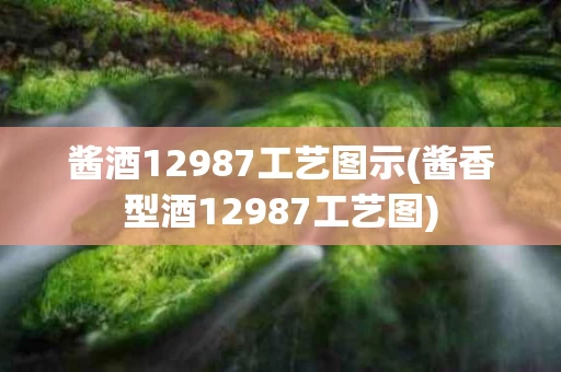 酱酒12987工艺图示(酱香型酒12987工艺图)