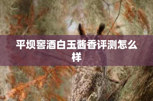 平坝窖酒白玉酱香评测怎么样