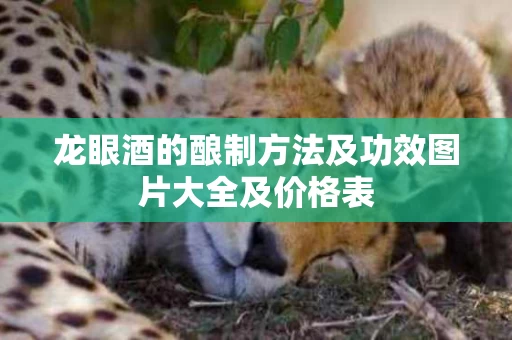 龙眼酒的酿制方法及功效图片大全及价格表