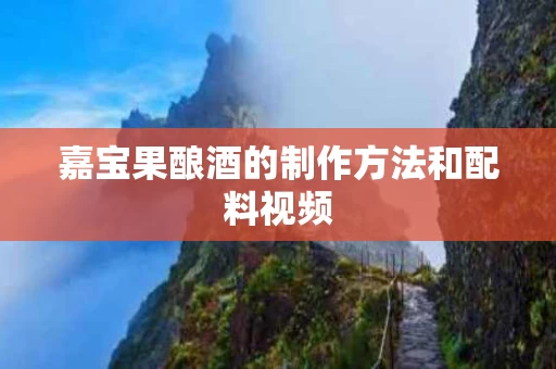 嘉宝果酿酒的制作方法和配料视频