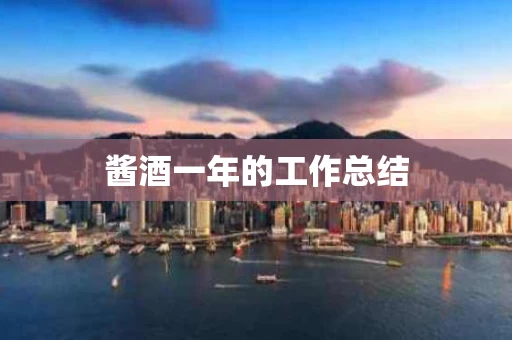酱酒一年的工作总结