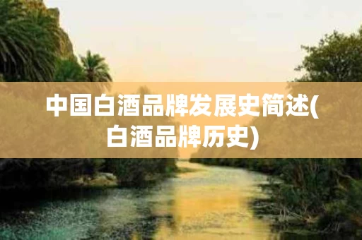 中国白酒品牌发展史简述(白酒品牌历史)