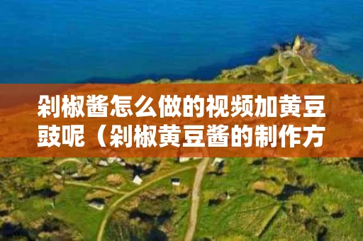 剁椒酱怎么做的视频加黄豆豉呢（剁椒黄豆酱的制作方法）