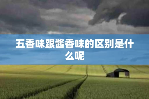 五香味跟酱香味的区别是什么呢