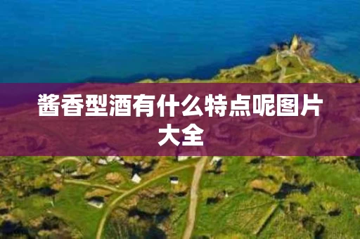 酱香型酒有什么特点呢图片大全