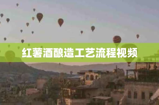 红薯酒酿造工艺流程视频