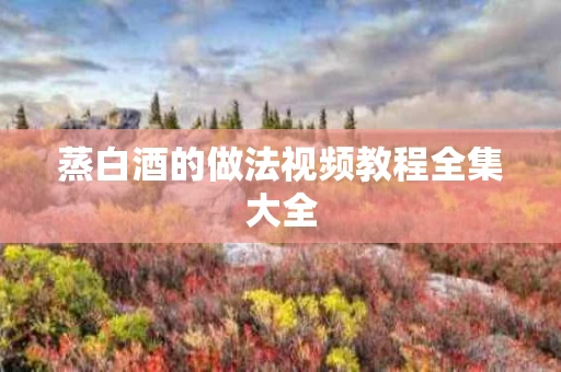 蒸白酒的做法视频教程全集大全