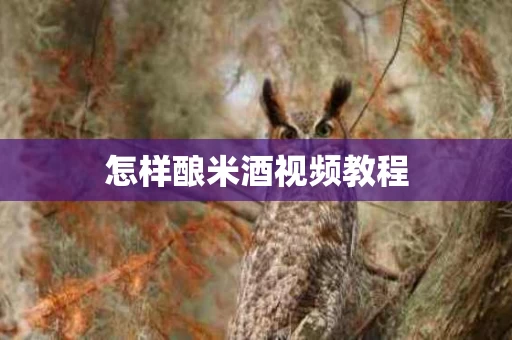 怎样酿米酒视频教程