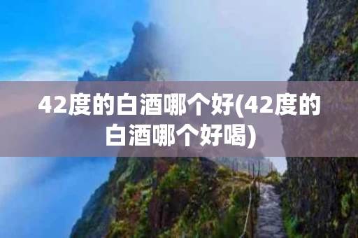 42度的白酒哪个好(42度的白酒哪个好喝)