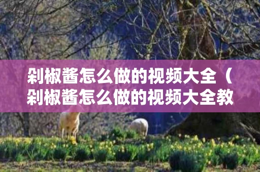 剁椒酱怎么做的视频大全（剁椒酱怎么做的视频大全教程）