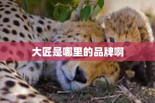 大匠是哪里的品牌啊