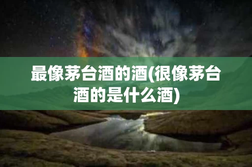 最像茅台酒的酒(很像茅台酒的是什么酒)