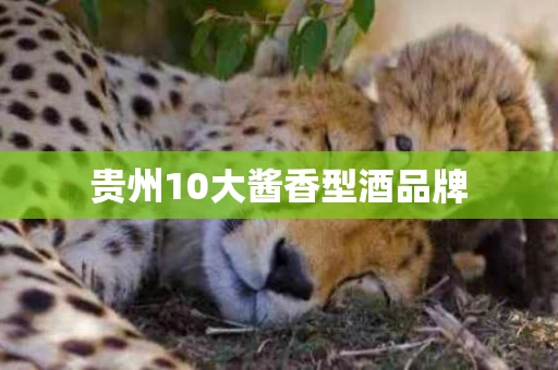 贵州10大酱香型酒品牌