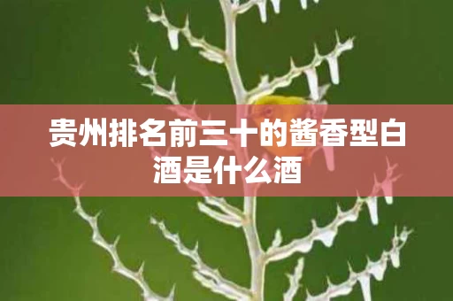 贵州排名前三十的酱香型白酒是什么酒