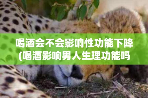 喝酒会不会影响性功能下降(喝酒影响男人生理功能吗)