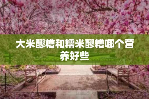 大米醪糟和糯米醪糟哪个营养好些