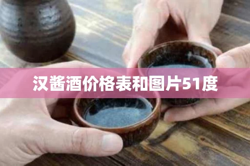 汉酱酒价格表和图片51度