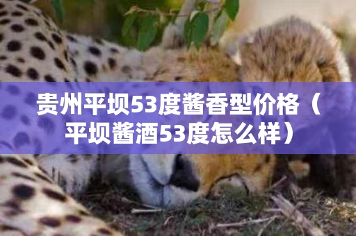 贵州平坝53度酱香型价格（平坝酱酒53度怎么样）