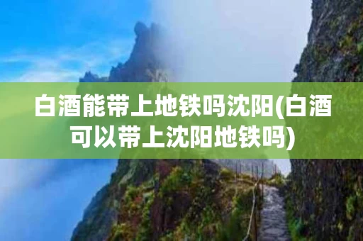 白酒能带上地铁吗沈阳(白酒可以带上沈阳地铁吗)