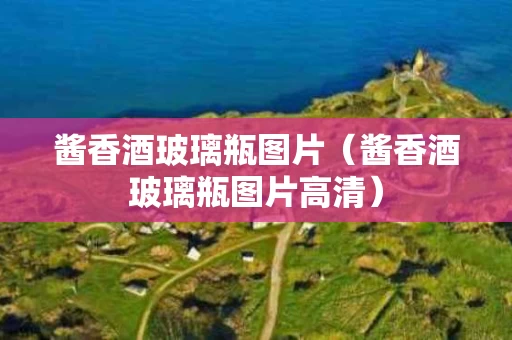 酱香酒玻璃瓶图片（酱香酒玻璃瓶图片高清）