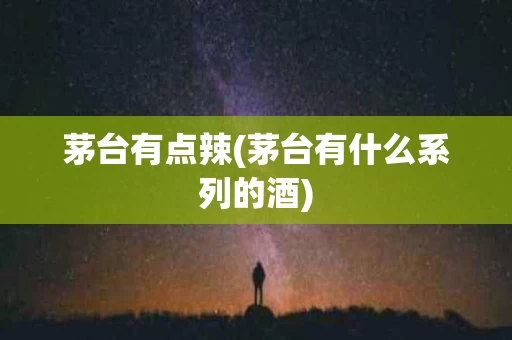茅台有点辣(茅台有什么系列的酒)