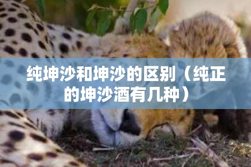 纯坤沙和坤沙的区别（纯正的坤沙酒有几种）
