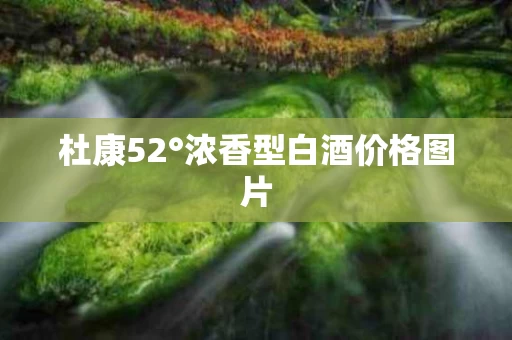 杜康52°浓香型白酒价格图片