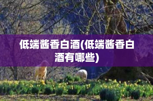 低端酱香白酒(低端酱香白酒有哪些)