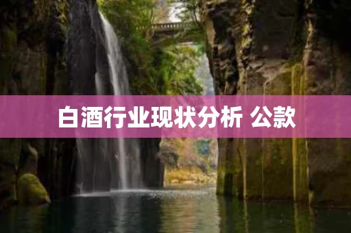 白酒行业现状分析 公款