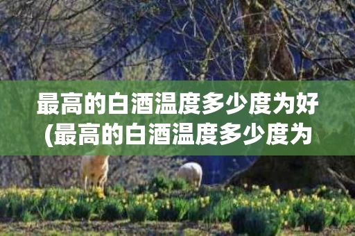 最高的白酒温度多少度为好(最高的白酒温度多少度为好呢)