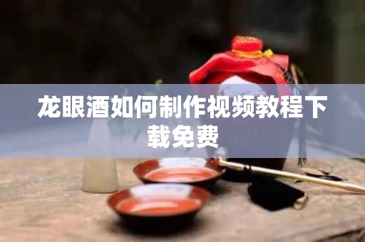 龙眼酒如何制作视频教程下载免费