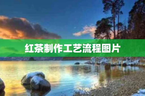 红茶制作工艺流程图片