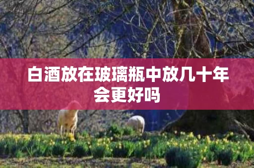 白酒放在玻璃瓶中放几十年会更好吗