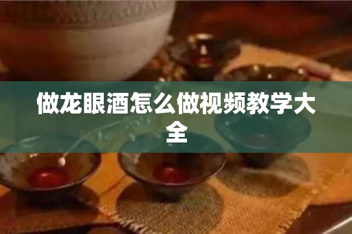 做龙眼酒怎么做视频教学大全