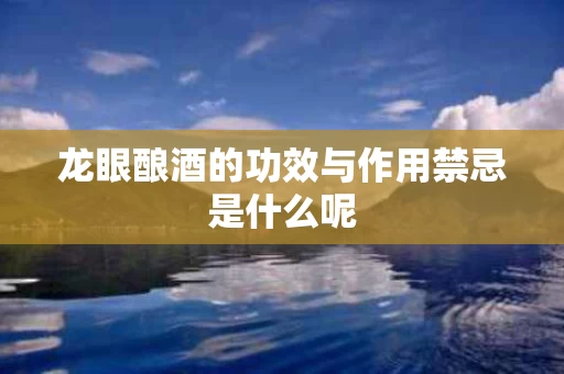 龙眼酿酒的功效与作用禁忌是什么呢