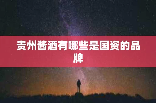 贵州酱酒有哪些是国资的品牌
