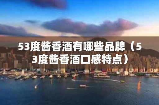 53度酱香酒有哪些品牌（53度酱香酒口感特点）