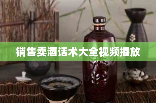 销售卖酒话术大全视频播放