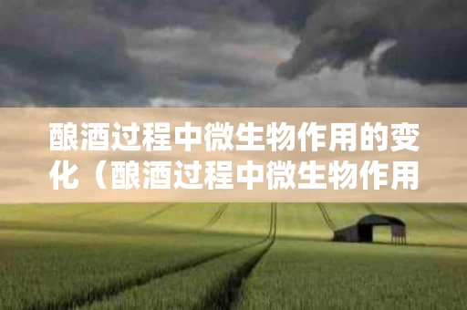 酿酒过程中微生物作用的变化（酿酒过程中微生物作用的变化有哪些）