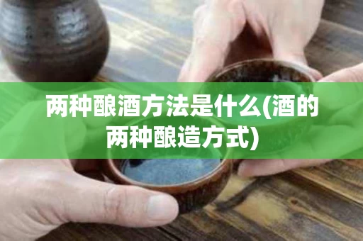 两种酿酒方法是什么(酒的两种酿造方式)