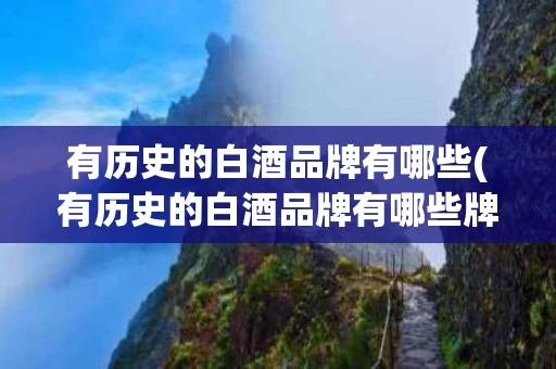 有历史的白酒品牌有哪些(有历史的白酒品牌有哪些牌子)