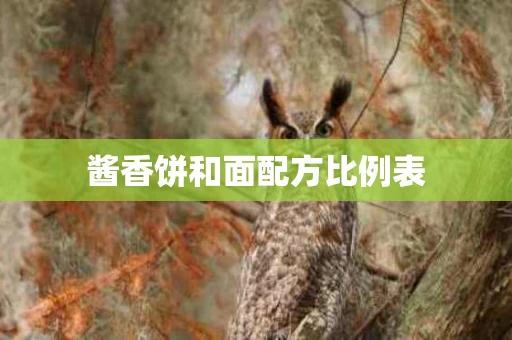 酱香饼和面配方比例表