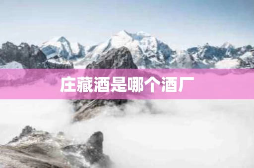 庄藏酒是哪个酒厂