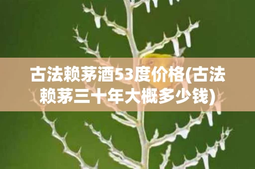 古法赖茅酒53度价格(古法赖茅三十年大概多少钱)